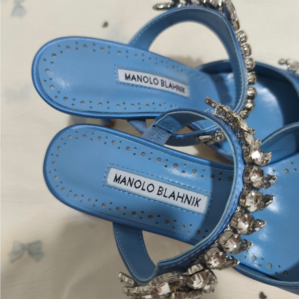 Manolo Blahnik Blue Crystal Embellished Pointed Toe Mules - Picture 2 of 9